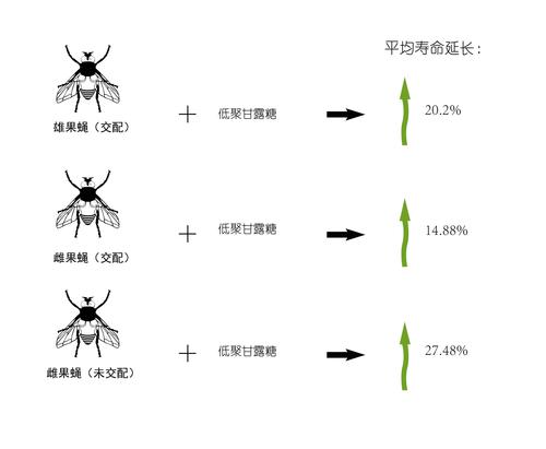 life span中文-01.jpg